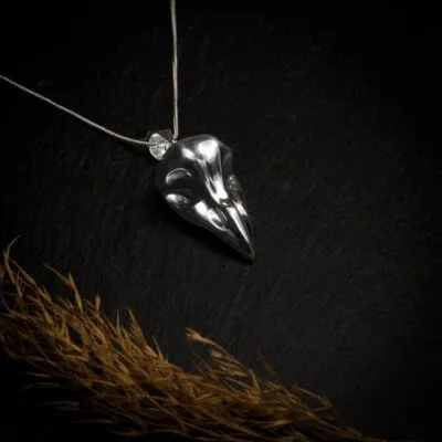 KIWA jewellery brand product image of a silver plated skull pendant necklace called Birdskull. The necklace is set on a dark granite background with hay decoration on the lower end